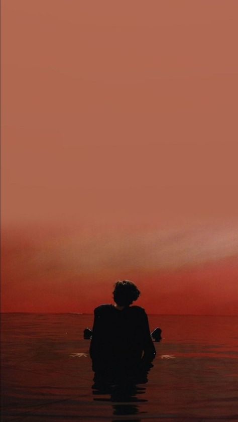 Sign Of The Times Harry Styles, Sign Of The Times, One Direction Wallpaper, Red Sunset, Boy Aesthetic, Harry Styles Wallpaper, Harry Styles Photos, Red Wallpaper, Harry Edward Styles