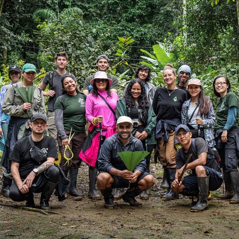 Hiking in the Amazon Rainforest with the plant community 🫣…….. Thanks to our guide for guiding us safely through the forest and helping us through the wet and muddy terrain. It wasn’t as easy as it looks but so much fun and the group mastered it with smiles. Ecuador 🇪🇨 I miss you and can’t wait to be back in September for our 3rd Group Trip! 🌱Denise🌱 @tropicalseductions 🎥 @josuevegav_ #rainforest #ecuador #junglehike #amazonrainforest #selina #selinaecuador #kichwa #plantcollector Jungle Hike, Mastered It, Group Trip, The Amazon Rainforest, Amazon Rainforest, Group Travel, The Amazon, I Miss You, The Forest