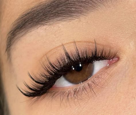 Eyelash Extensions Wispy Cat Eye, Cat Eyes Lashes Extension, Lashes Inspo Cat Eye, 3d Lash Extensions Cat Eye, Sharp Cat Eye Lash Extensions, Natural Fake Eyelashes, Eyelashes Extensions, Wispy Eyelashes, Lashes Extensions