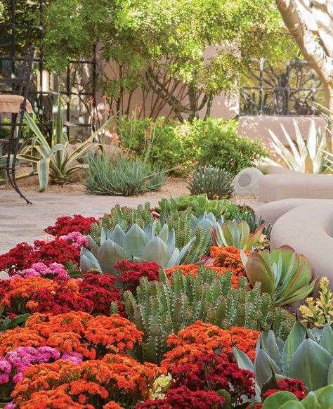 30 Desert Landscaping Ideas To Transform Your Dull Yard Into An Oasis - 196 Dry Climate Landscaping, Desert Landscaping Ideas, Desert Landscape Front Yard, Desert Landscaping Backyard, Xeriscape Front Yard, High Desert Landscaping, Desert Backyard, Arizona Backyard, Home Garden Ideas