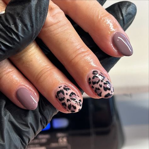 Nails by Emma Jane | Leopard print Treatments: Builder Gel with Gel Colour Manicure and Simple Nail Art @nailorder @lucypastorellitools_ | Instagram Natural Cheetah Nails, Autumn Animal Print Nails, Coloured Leopard Print Nails, Christmas Animal Print Nails, Leopard Print Gel Nails, Leopard Short Nails, Short Animal Print Nails, Fall Leopard Print Nails, Short Cheetah Print Nails