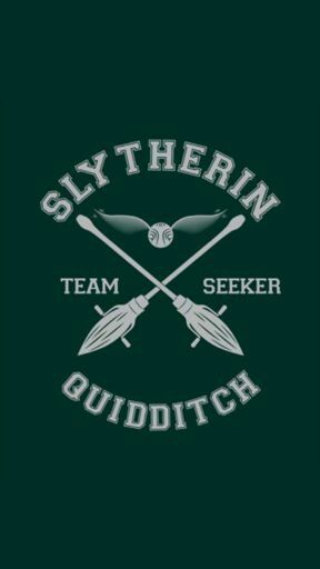 Wallpaper #slytherin quidditch/ #sonserina quadribol Quidditch Aesthetic, Imprimibles Harry Potter, Gryffindor Aesthetic, Harry Potter Quidditch, Harry Potter Tshirt, Anniversaire Harry Potter, Harry Potter Shirts, Images Harry Potter, Harry Potter Outfits