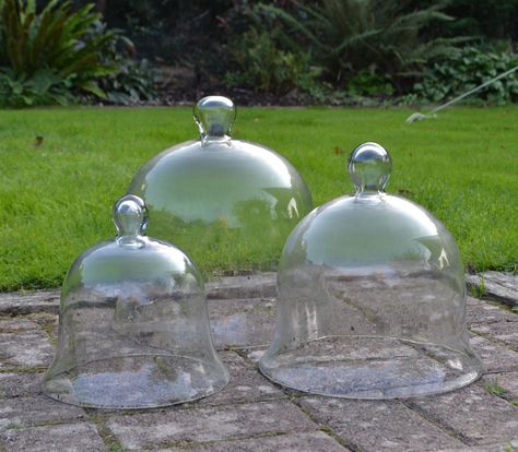 Garden Cloche, Glass Bell Jar, October Flowers, July Flowers, September Flowers, Sweet Pea Seeds, Plant Protection, Glass Cloche, Garden Products