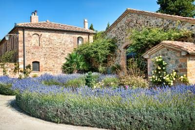 A Tuscan villa with a stone path and beds of lavender. Italian Landscaping, Tuscan Garden Design, Tuscan Landscape Design, Tuscan Backyard, Italian Backyard, Tuscan Courtyard, Tuscan Style Homes, Tuscan Garden, Tuscan Landscaping