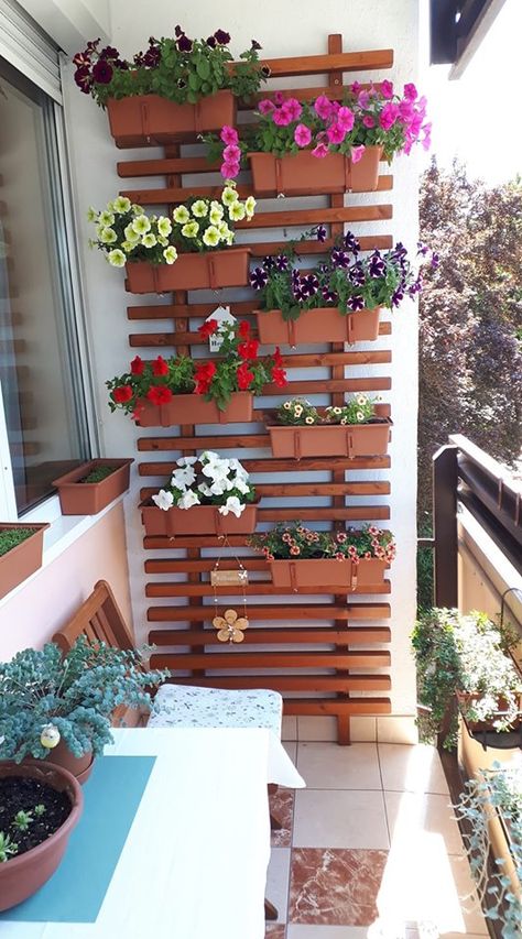 Diy Small Balcony, Succulent Landscape Design, Small Balcony Ideas Apartment, Small Balcony Garden, Front Garden Landscape, Small Patio Garden, Balcony Plants, Flower Garden Design, Balcony Ideas Apartment