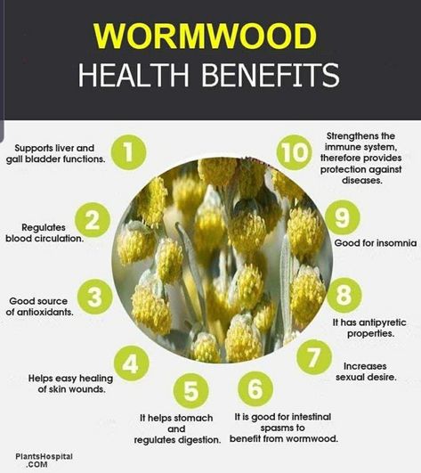 Benefits Of Wormwood, Wormwood Benefits, Wormwood Tea, Wormwood Plant, Medical Herbs, Benefits Of Gardening, Natural Healing Remedies, Tea Benefits, Herbs For Health