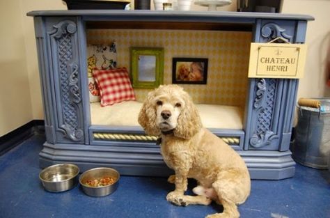 Turn an Old TV Cabinet into a Dog Bed! Tv Dog Beds Old Tv Consoles, Repurposed Dog House, Pet Spaces In Home, Dog Stuff For The Home, Katt Grejer, Old Bookcase, Dog Room, Dog Crates, Dog House Diy