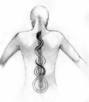 Kundalini is a Sanskrit word meaning either "coiled up" or "coiling like a snake." There are a number of other translations of the term usually emphasizing a more serpent nature to the word - e.g. 'serpent power'. Kundalini Tattoo, Yoga Kunst, Sahaja Yoga, Yoga Kundalini, Kundalini Awakening, Sanskrit Words, Energy Medicine, Les Chakras, Snake Tattoo