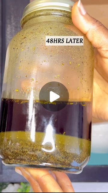 Monee Mapleh Gray on Instagram: "Herbal oil for Hair thickness and growth.  Ingredients  Moringa Cloves Green Tea Rosemary  Fenugreek  2 tablespoons of each ingredients. Use the double boiler method and infuse it for as long as you want to. I infused mine for 48 hours.  . . . . . . #herbalhaircare #herbalhairgrowthoil #rosemaryoilbenefits #hairgrowthoil #homemadehairgrowthoil #haircaretipsandproducts #naturalhair   Let your light so shine before men, that they may see your good works, and glorify your Father which is in heaven.~ Matt 5:16" Rosemary Infused Oil For Hair, Rosemary Tea For Hair Growth, Moringa For Hair Growth, Rosemary Hair Oil Recipe, Homemade Hair Oil For Growth, Clove Oil For Hair Growth, Best Oils For Hair Growth, Homemade Hair Growth Oil, Rosemary For Hair