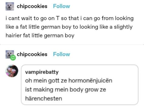 No Little German Boy Jokes, Little German Boy Jokes, Little German Boy, German Boys, Country Memes, Hashtag Relatable, Text Posts, Tumblr Funny, Tumblr Posts