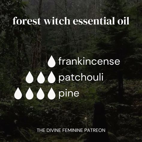 🌿🐈‍⬛✨🌙 Essential Oil Blends inspired by the witches Some blends l’ve created that you can use for aromatherapy! Some ways you can use essential oils are in… diffusers, for creating oils, adding in lotions or directly onto pulse points with caution, etc! I’ve posted lots of essential oils over on Patreon so definitely get check them out! ✨🌙 🍂🍁 Shop our metaphysical shop through the link in bio #aromatherapy #witch #witchy #essentialoils #witchtok #witchcraft #pagan #witchesoftiktok #greenwi... Witchy Essential Oils, Raven Essential Oil Diffuser Blend, Witchy Essential Oil Diffuser Blends, Witchy Diffuser Blends, Witchy Oil Blends, Essential Oils For Witchcraft, Witchy Essential Oil Blends, Dark Academia Essentials, Raven Essential Oil