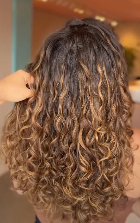 Morena iluminada mel cacheada Dyed Wavy Hair, Balayage Curly Hair Natural Curls, Highlights For Curly Hair Natural Curls, Caramel Balayage Curly Hair, Curly Hair Dyed, Curly Light Brown Hair, Curly Balayage Hair, Curly Hair Accessories, Dyed Curly Hair