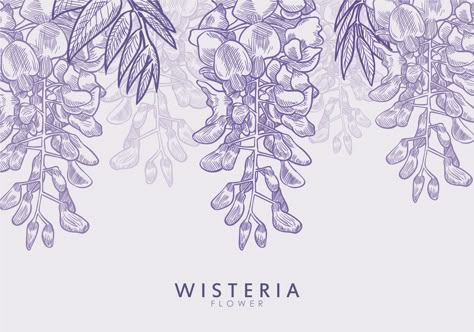 Free Hand Drawn Wisteria Flower Vectors Wisteria Logo Design, Wisteria Art, Wisteria Flower, Bond Paper Design, Purple Wildflowers, Japanese Art Styles, Calligraphy Art Print, Free Hand Drawing, Geometric Art Prints