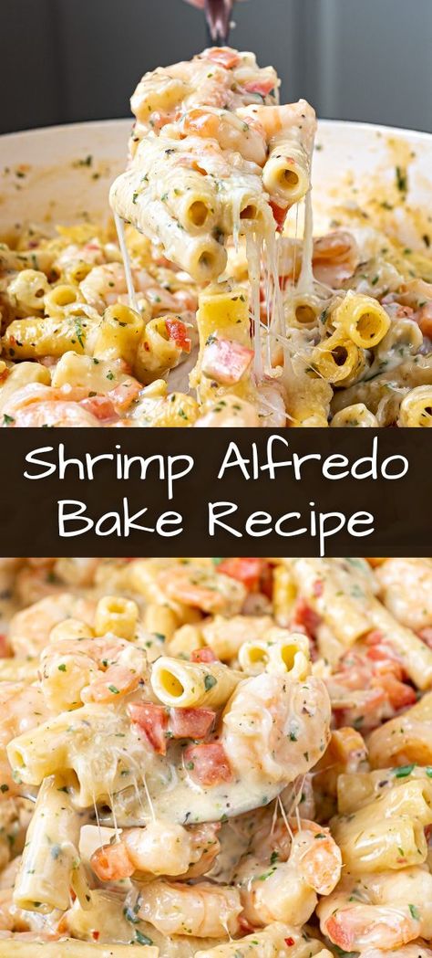 Shrimp Alfredo Shells, Shrimp Pasta Dishes Recipes, Old Bay Shrimp Alfredo, Easy Seafood Alfredo, Dump And Bake Shrimp Alfredo, Baked Shrimp Pasta Recipes Oven, Shrimp Baked Ziti, Chicken Shrimp Broccoli Alfredo, Shrimp Alfredo Baked Pasta