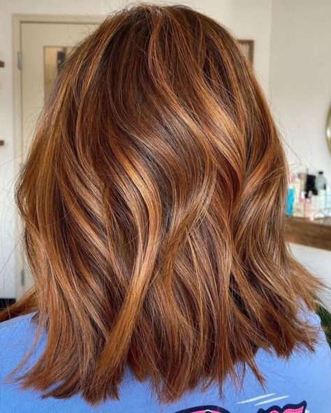 Brown Hair Copper And Blonde Highlights, Warm Hair Highlights, Summer Auburn Hair Color, Warm Toned Brown Hair, Warm Auburn Hair Color, Light Brown Auburn Hair, Brown Hair With Auburn Highlights, Brownish Red Hair With Blonde Highlights, Ginger Highlights