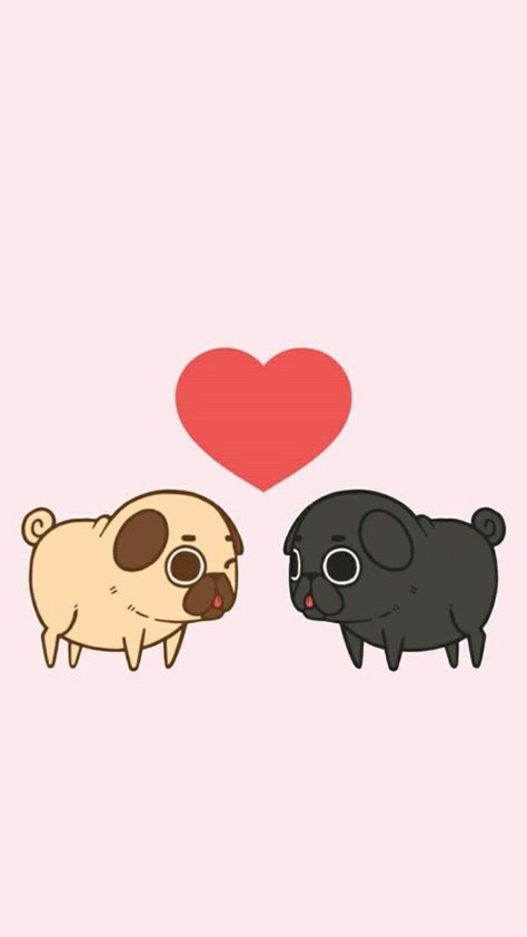 Funny Pug Pictures, Pug Quotes, Pug Wallpaper, Pug Gifs, Cute Dog Wallpaper, Panda Lindo, Baby Pugs, Pug Pictures, Pug Art