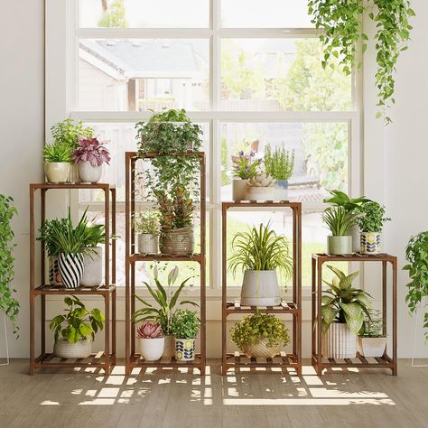 Indoor plants styling