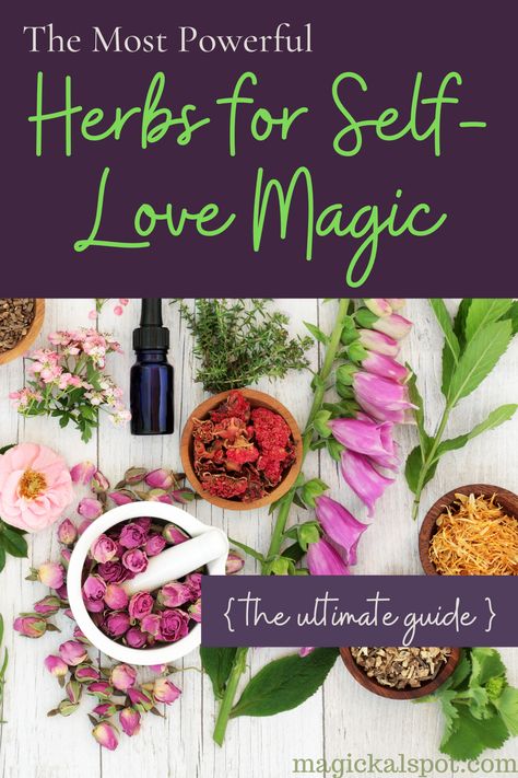 In this article, we'll learn more about The Most Powerful Herbs for Self-Love Magic. We also included a few interesting practical tips! Self Love Herbs And Spices, Self Love Herbs And Oils, Herbs For Positive Energy, Self Love Oil Recipe, Magic Herbs Witchcraft, Self Love Oil Recipe Witchcraft, Self Love Herbs Witchcraft, Love Herbs Witchcraft, Herbs For Self Love