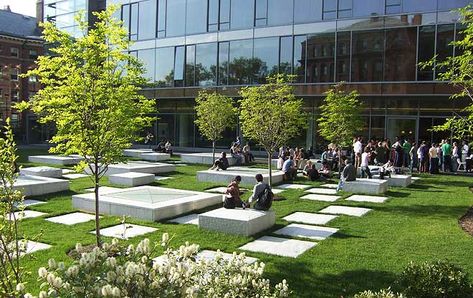 Northwest Laboratory Courtyard | The Landscape Architect’s Guide to Boston #landarch Office Courtyard Landscape, Office Courtyard Design, Courtyard Design Landscape, Office Landscape Design, Courtyard Landscape Design, Public Courtyard, Campus Landscape Design, Landscape Courtyard, Office Landscape