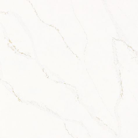 ONE Quartz - Marble Look - Calacatta Alabaster Quartz Marble, Quartz Surfacing, Simply White, Fresh Linen, Interior Floor, Shower Accessories, Marble Texture, Sand Color, Kitchen Style