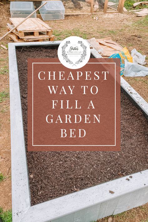 How To Fill A Garden Bed For Free Soiless Gardening, Fill A Raised Garden Bed, Cheap Raised Garden Beds, Raised Garden Beds Diy Vegetables, Lasagna Gardening, Garden Bed Layout, Adventurous Travel, Cheap Garden, Diy Garden Bed