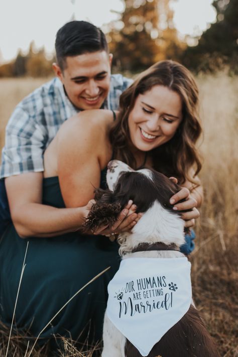 Our Humans Are Getting Married Dogs, My Humans Are Getting Married Bandana, Engagement Pictures Ideas With Dog, Engagement Announcement Ideas With Dogs, Dog Proposal Engagement, Dog Bandana Engagement Photos, Country Field Engagement Photos, Our Humans Are Getting Married, Pet Engagement Pictures