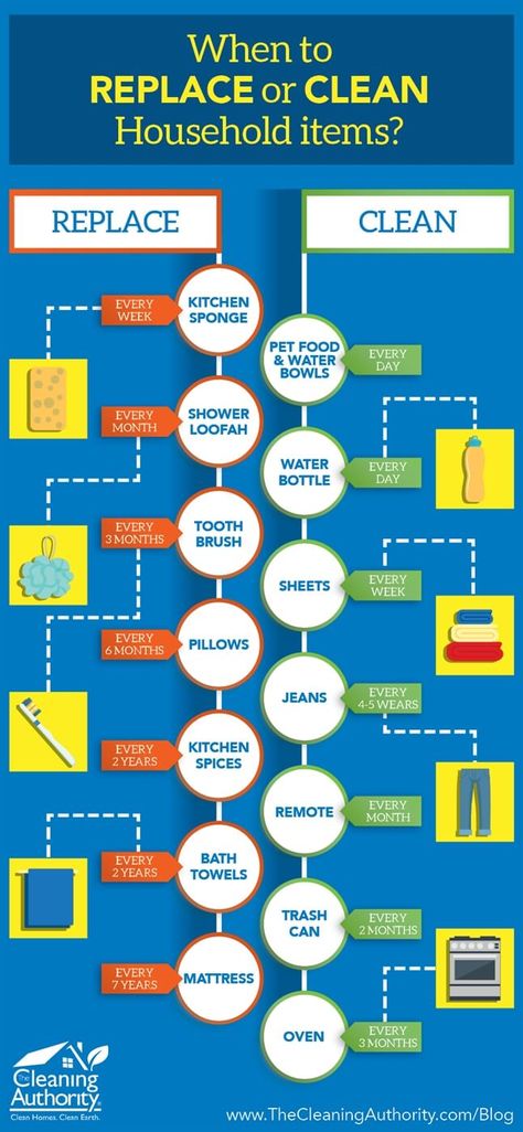 How Often To Clean, How Often To Replace Household Items, When To Replace Household Items, Clean Closet Organization, Clean Organized House, Cleansing Foods, Schedule Ideas, Cleaning Closet Organization, Clean Closet