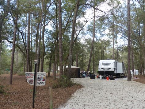 25 Best Florida RV Parks For Camping Rv Parks In Florida, Florida In December, Best Places In Florida, Florida Caverns State Park, Rainbow Springs State Park, Florida Campgrounds, Grayton Beach State Park, Blue Springs State Park, Traveling Ideas