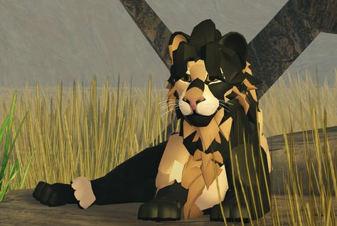 A Lions Pride Morph Ideas, Roblox Lions Pride Oc, Lion Pride Roblox Ideas, Lions Pride Morph Ideas, A Lions Pride Morphs, Pride Oc, Alp Morphs, Warriors Erin Hunter, Pride Ideas