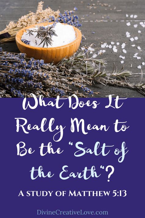 Matthew 5 13, Earth Meaning, Sunday School Games, Grapes Of Wrath, Scripture Writing, My Purpose In Life, Devotional Journal, Salt Of The Earth, Salt And Light