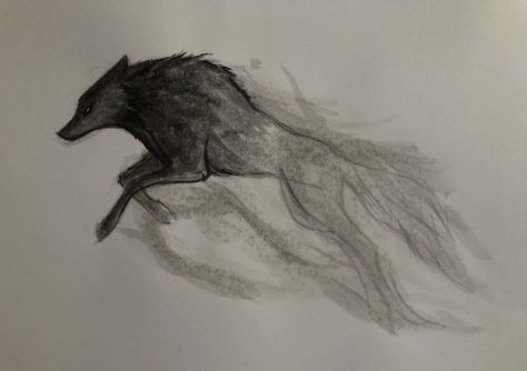 Ghost Wolf Art, Ghost Wolf Tattoo, Open Mouth Drawing, Air Elemental, Aro Volturi, Scary Wolf, Tattoo 2024, Wolf Sketch, Animal Sketch