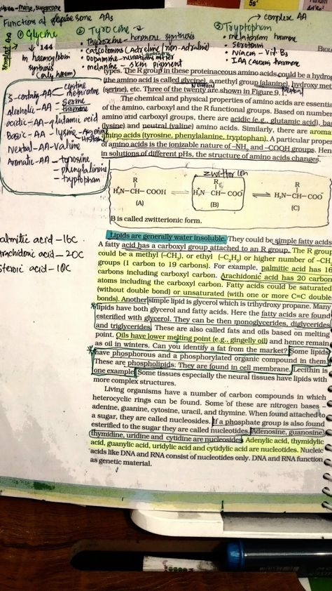 Biomolecules Notes Biology Class 11 Neet, Biomolecules Notes Biology Class 11, Biomolecules Notes Biology, Biomolecules Notes, Medical Essentials, Neet 2023, Biology Lover, Biology Class 11, Notes Biology