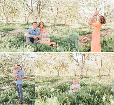 Looking for inspiration for an upcoming family photoshoot? Spring is the perfect season to take beautiful family pictures! And we can help you find the ideal Utah location for your family photos, like this gorgeous fruit orchard in Santaquin, Utah! Beautiful Family Photos, Photoshoot Spring, Fruit Orchard, Mini Photo Sessions, Cherry Orchard, Baby Fotografie, Photoshoot Family, Spring Photoshoot, Family Picture Poses