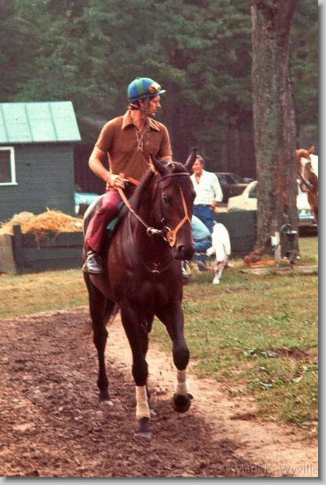 Slew Seattle Slew, Thoroughbred Racehorse, Preakness Stakes, Triple Crown Winners, Florida Life, Belmont Stakes, Thoroughbred Horse Racing, Sport Of Kings, Honor Roll