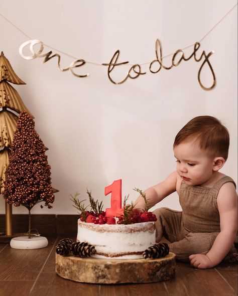 Winter Smash Cake, 1st Bday Cake, Smash Cake, Christmas Pictures, Cake Smash, Birthday Cake, Cake, Birthday