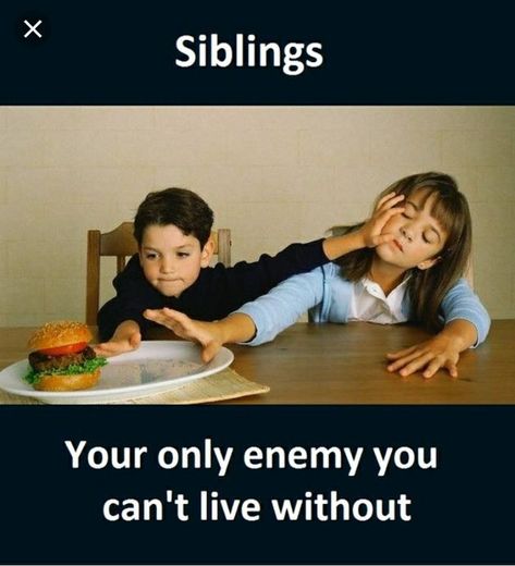 Why does all the time brothers take away our food ? Brother Sister Quotes Funny, Siblings Funny Quotes, Sibling Memes, Sibling Quotes, Sister Love Quotes, Siblings Funny, Sister Quotes Funny, Brother Quotes, Funny School Jokes