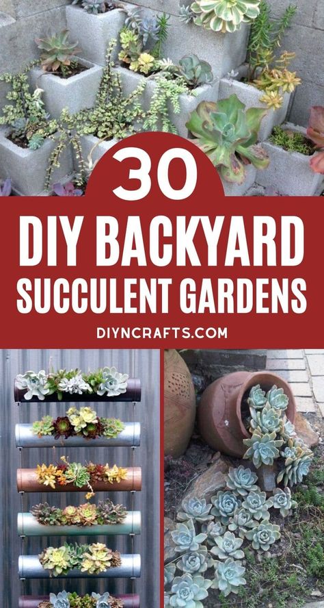 You'll love this list of 30 backyard succulent gardens! Tons of designs for adding beauty and life to your yard with little effort! A gardener's dream! Check out all of the unique vertical succulent gardens, designs for garden spaces, and amazing succulent planters. #Succulents #SucculentPlanter #SucculentGarden #BackyardGarden #Gardening #Cactus Vertical Succulent Planter, Container Succulents Ideas, Rustic Garden Decor Ideas Backyards, Succulent Waterfall, Hanging Succulents Outdoor, Unique Succulent Planter Ideas, Cactus Garden Outdoor, Cactus Display, Suculentas Ideas