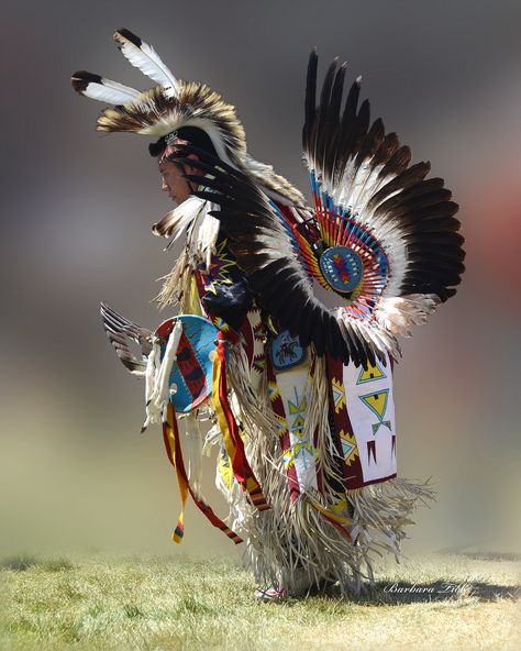 Mens Traditional Dancer | Mens traditional dancer ath the 20… | Flickr Native American Dance, Native American Regalia, Native American Warrior, Native American Images, Native American Men, Native American Pictures, Wilde Westen, Native American Quotes, Native American Artwork