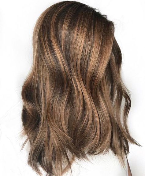 brunette balayage Bayalage Caramel, Caramel Bayalage, Babylights Brunette, Brunette Light, Bayalage Brunette, Caramel Brunette, Brownies Caramel, Hair Caramel, Balayage Hair Caramel