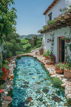 Fiji House, Front Door Transformation, Cute Places, Green Photography, Plants Nature, Cactus Art, Pretty Landscapes, Dream House Rooms, Small Pool