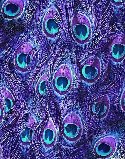 Purple And Teal Aesthetic, Peacock Feather Background, Peacock Feathers Wallpaper, Peacock Background, How To Draw Characters, Purple Peacock Feather, Peacock Colours, Peacock Feather Art, Purple Feathers