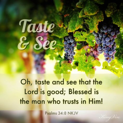 Psalm 34 8, Faith Is The Substance, Glory To God, Best Bible Verses, Bible Quotes Images, Taste And See, Spiritual Encouragement, The Lord Is Good, Scripture Pictures