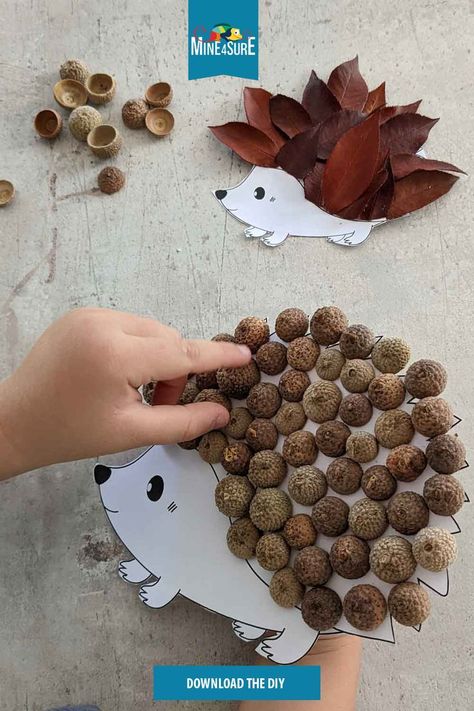 Acorn Hedgehog Craft, Fall Diy Activities For Kids, Diy Fall Kids Crafts, Preschool Forest Crafts, Autumn Craft Activities, Autumn Kids Projects, Preschool Hedgehog Activities, Kids Autumn Activities, Autumn Craft Preschool