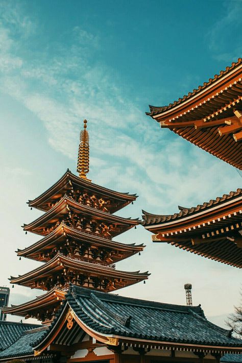 Sensoji temple in the Asakusa dustric of tokyo Japan, us one of the most visited and popular tourist attraction in the world. Follow for more updates on travel cities for your adventure. Cultute | Tradition | Nature | History Aesthetic city life | Hotels to stay | points to see | scenic view | amazing nature | explore nature Gunung Fuji, Tokyo Neon, History Of Japan, Tokyo Temple, History Aesthetic, Japanese Scenery, Tokyo Aesthetic, Things To Do In Tokyo, Asakusa Tokyo