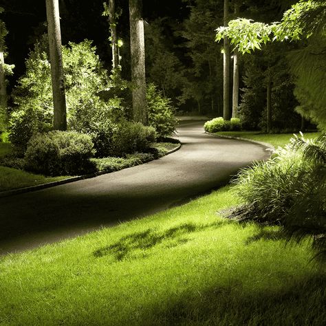 Landscape Lighting Ideas Front Yards, Driveway Lighting, Landscape Lighting Design, Driveway Landscaping, Outdoor Landscape Lighting, Lighting Techniques, Yard Lights, Outdoor Lighting Landscape, Landscaping Supplies