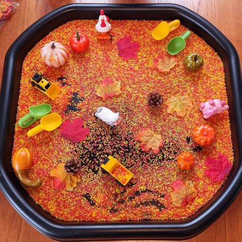 Autumn Tuff Tray Activities, Messy Tuff Tray, Harvest Festival Tuff Tray Ideas, Rice Tuff Tray Ideas, Harvest Tuff Tray Ideas, Autumn Messy Play Ideas, Autumn Messy Play, Autumn Tough Tray Ideas, Autumn Nursery Activities