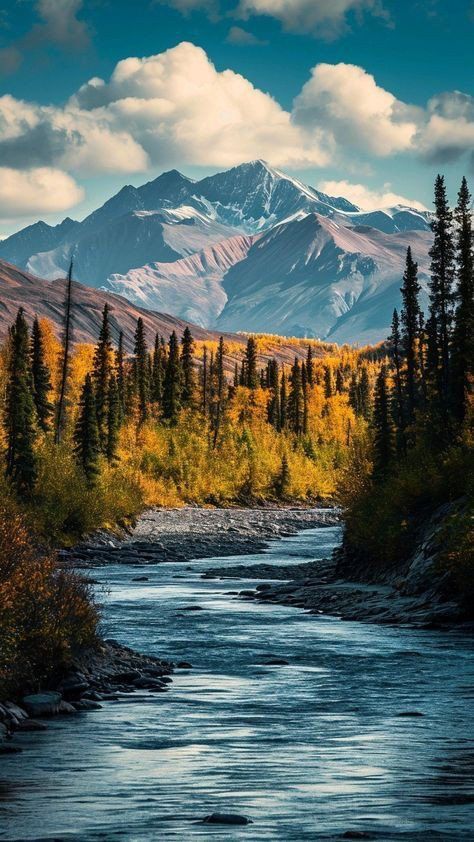 Beautiful Mountain View, Peaceful Scenery, Mountain Streams, Colorful Forest, Mountain Landscape Photography, Reference Pics, Mountain Stream, Mountain River, Majestic Mountains