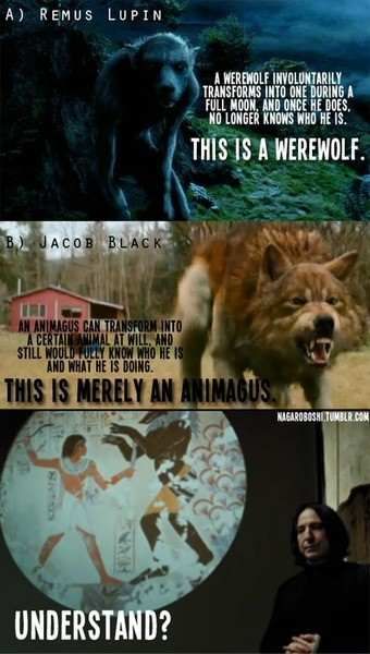 I showed this to my nonliterate friend and she  said thanks SIRIUS BLACK for this lesson. Sirius Black. Harry Potter Vs Twilight, Glume Harry Potter, The Meta Picture, Movies Quotes, After All This Time, Harry Potter Love, Harry Potter Obsession, Torchwood, All This Time