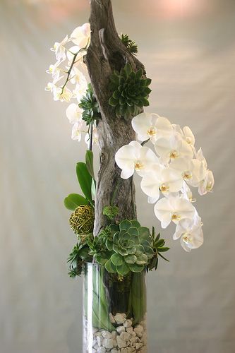 orchid & succulent Takken Decor, Flowers And Succulents, Enchanted Florist, Flowers And Greenery, Orchid Arrangements, Floral Arrangements Diy, Beautiful Orchids, Deco Floral, Arte Floral