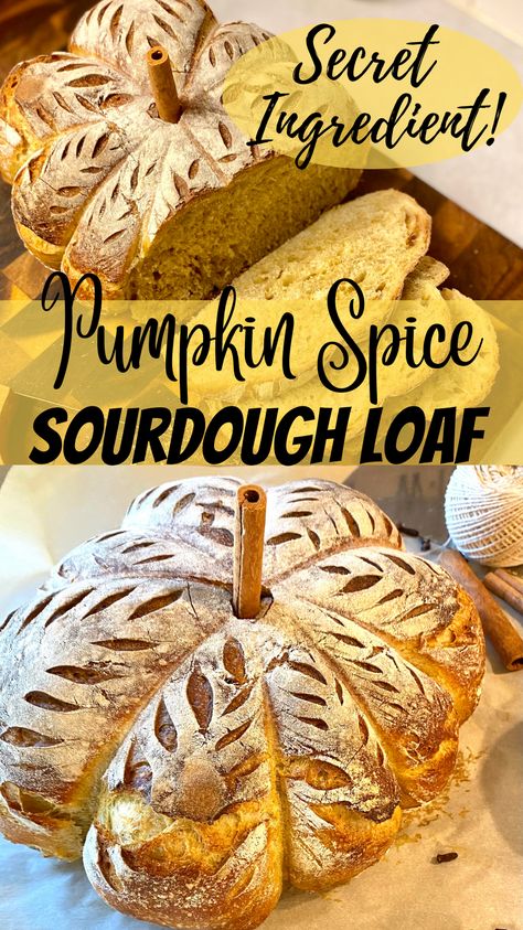 This slightly sweet and pumpkin spice sourdough loaf is so beautiful, delicious and fun to make! Made with pumpkin, spices and a surprising secret ingredient that makes this bread irresistible for any Pumpkin spice lover. This loaf will be a showstopper this fall gathering! Sourdough Pumpkin Bread Loaf, Pumpkin Sour Dough Bread Recipe, Sourdough Pumpkin Spice Bread, Sweet Pumpkin Sourdough Bread, Pumpkin Chocolate Chip Sourdough Bread, Pumpkin Sourdough Bread Recipe, Pumpkin Spice Sourdough, Pumpkin Sourdough Loaf, Pumpkin Cinnamon Sourdough Bread